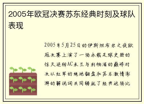 2005年欧冠决赛苏东经典时刻及球队表现