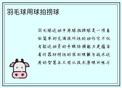 羽毛球用球拍捞球